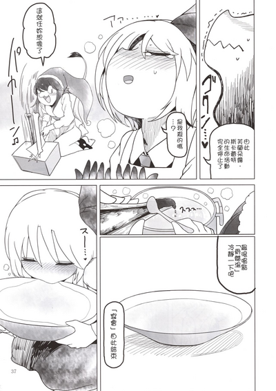 第37頁圖