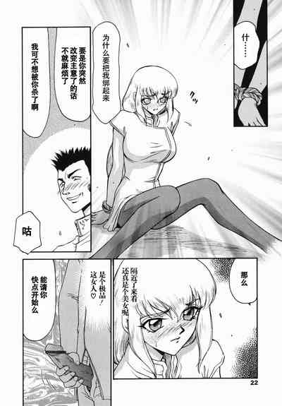 第21頁圖