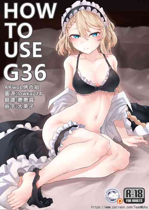 How To Use G36圖