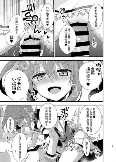 第13页图