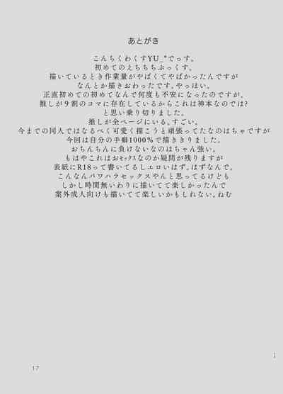第17页图