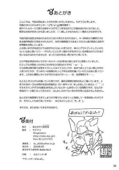 第29頁圖