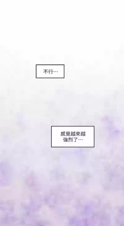 第373頁圖