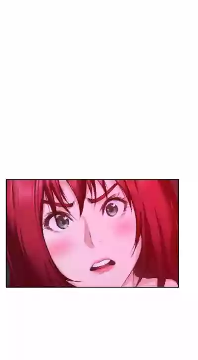 第493頁圖