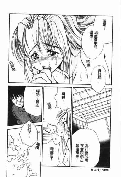 第29页图