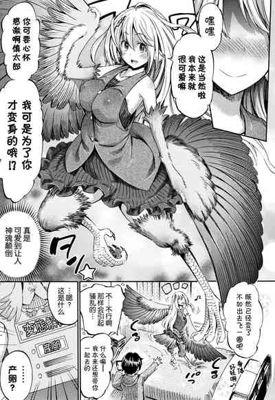 第33頁 封面 - HaSM.cc