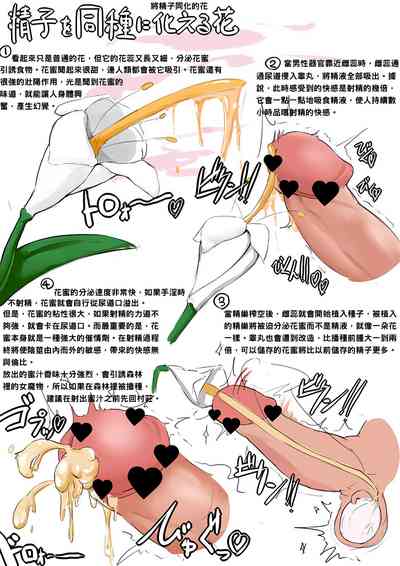 第1页图