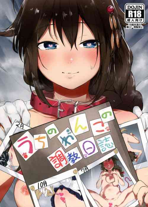 うちのわんこの調教日誌圖