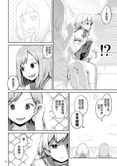第33頁圖