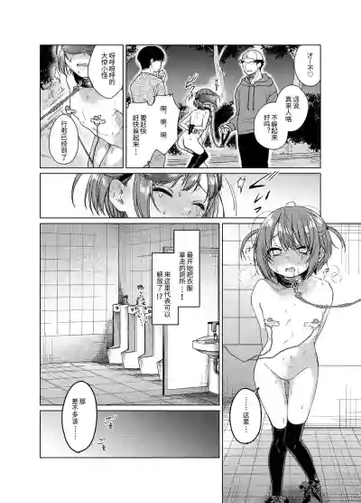 第17页图