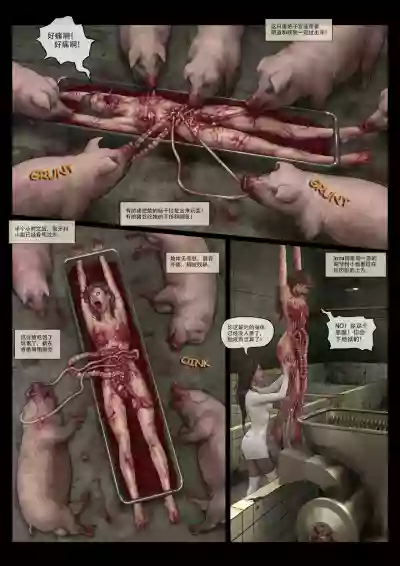 第53頁圖