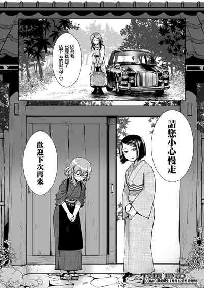 第41頁圖