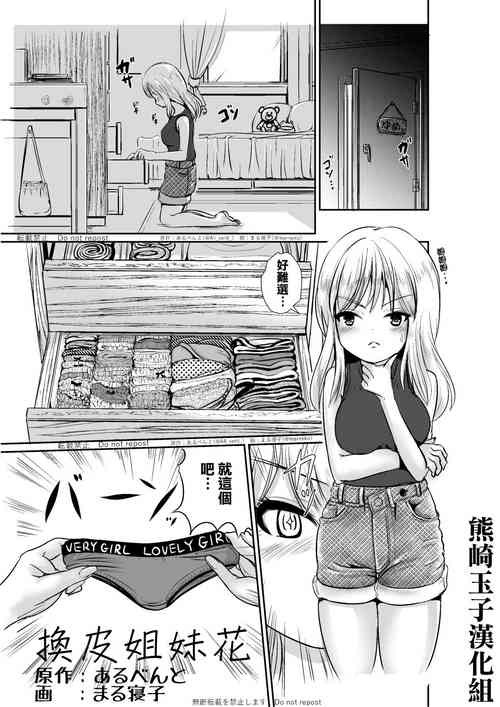 皮替え姉妹图
