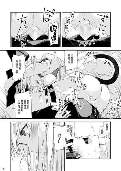 第25頁圖