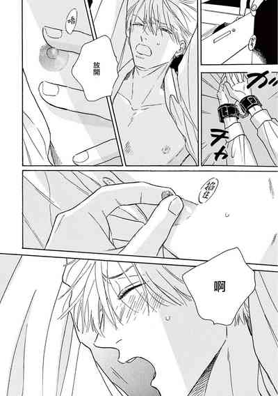 第261頁圖
