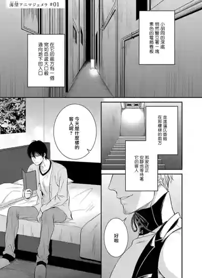 第5頁圖