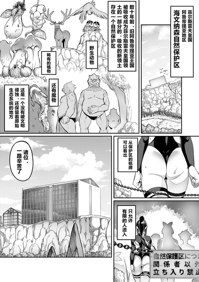 第29页图
