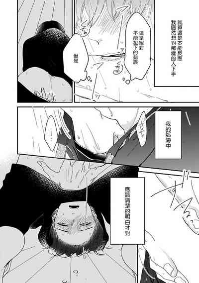 第41页图