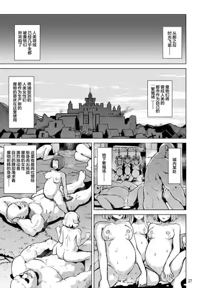 第29页图