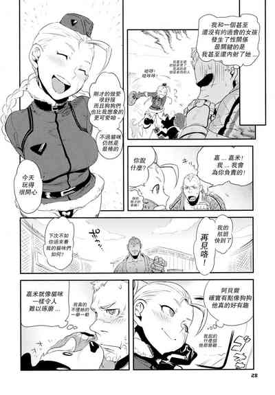 第29頁圖