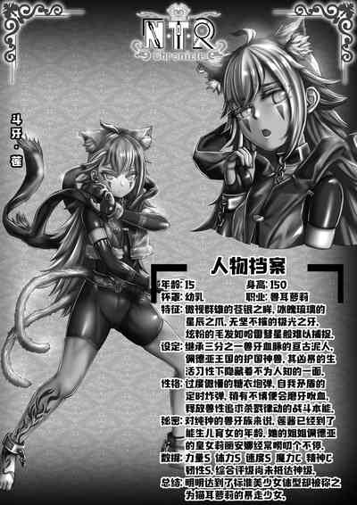 第17页图
