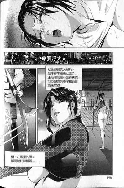 第241頁圖
