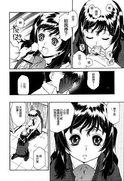 第113頁圖