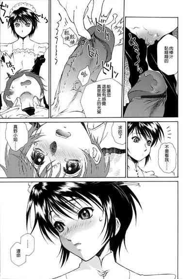 第33頁圖