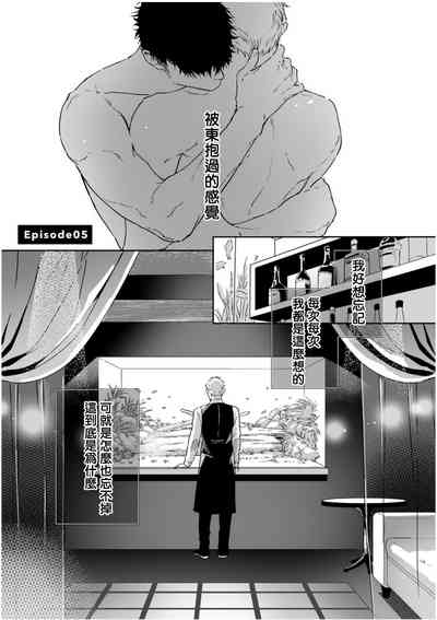 第185頁圖