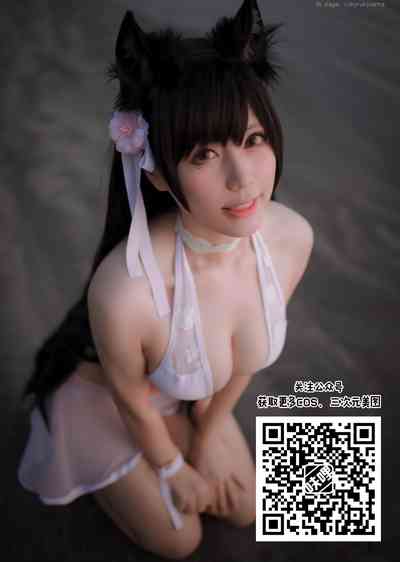 第29頁圖