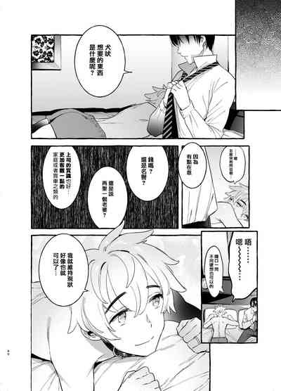 第81頁圖