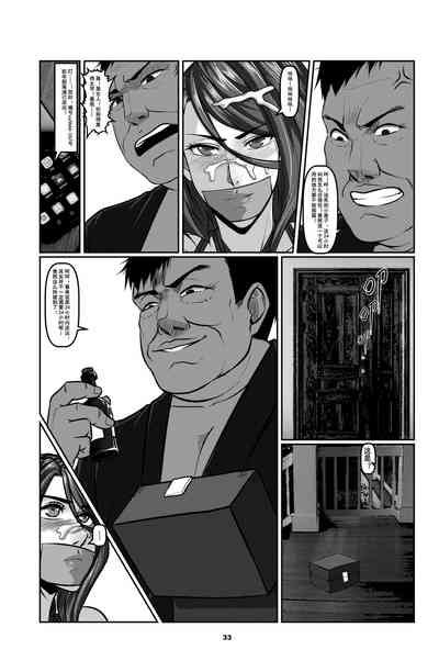 第33頁圖