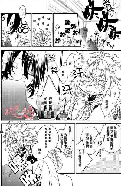 第5頁圖