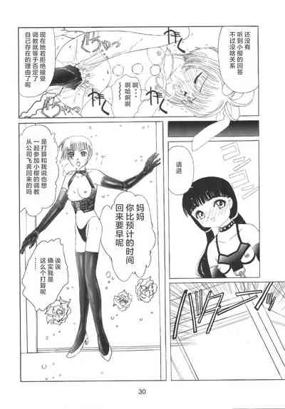第33頁圖