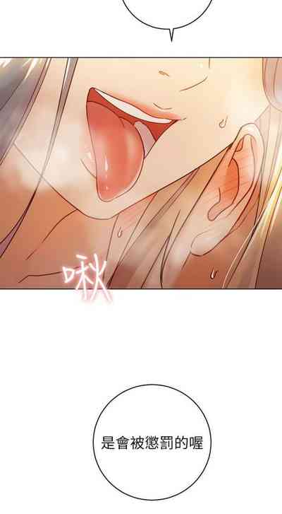 第413頁圖