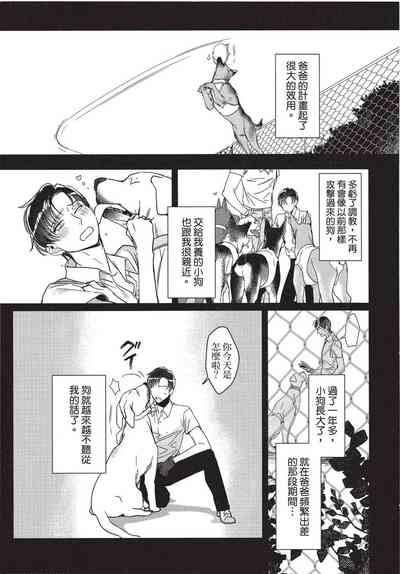 第85页图