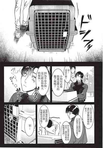 第93页图