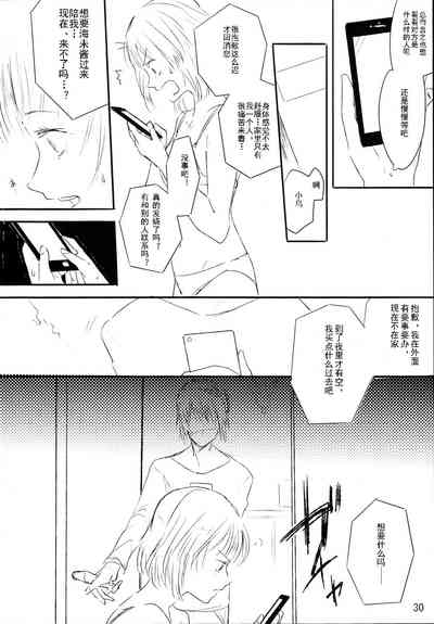 第29頁圖