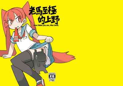 第1页图