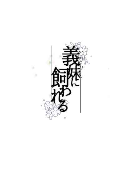 第45页图