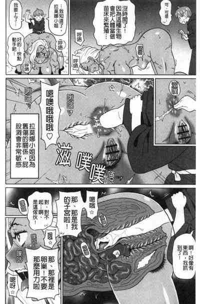 第41頁圖
