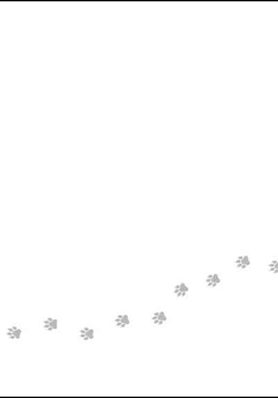 第109頁圖