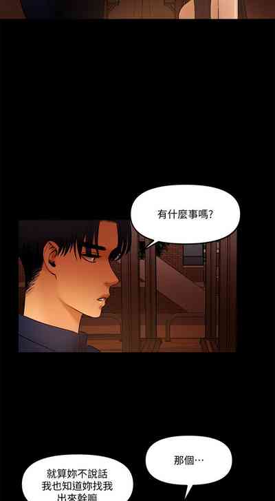第253頁圖