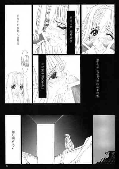 第17頁圖