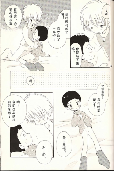 第33页图