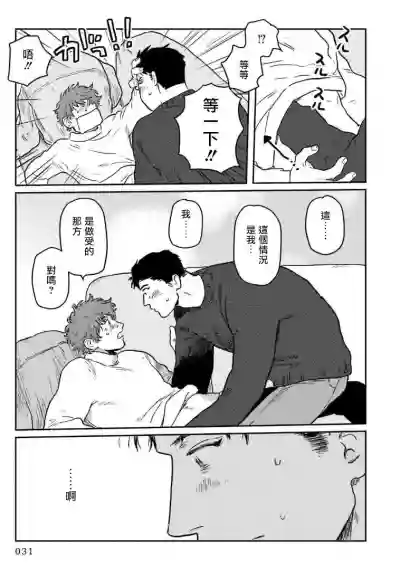 第33页图