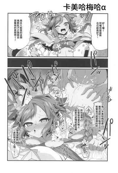 第17页图