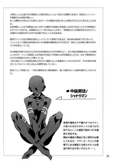 第41頁圖