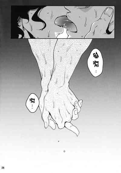 第25页图