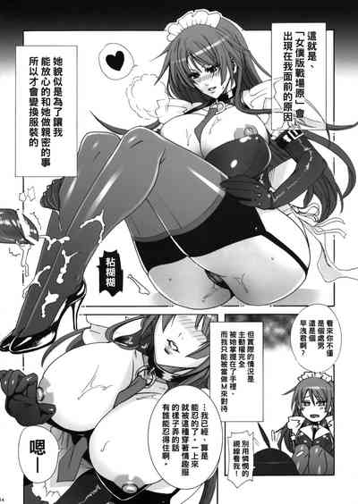 第13页图